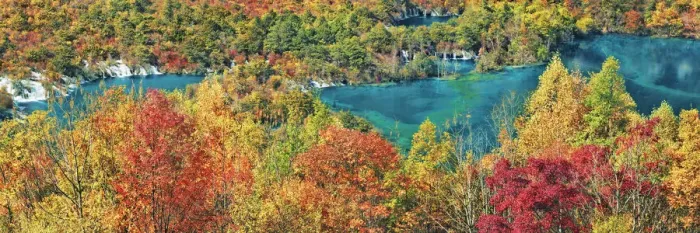 Framed Print : Deciduous forest in autumn colours at Shuzheng Lakes - China, Sichuan, Jiuzhaigou Framed Print : Deciduous forest in autumn colours at Shuzheng Lakes - China, Sichuan, Jiuzhaigou