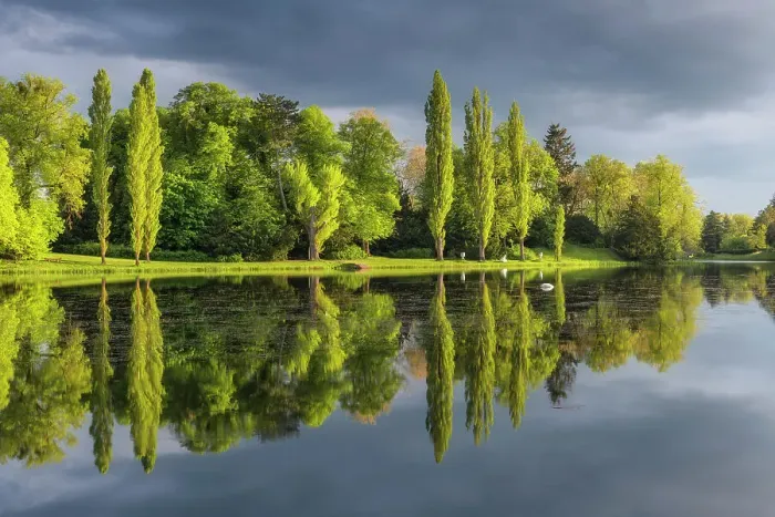 Framed Print : Deciduous trees reflected in the lake Worlitz, Dessau-Worlitzer Garden Realm, English style landscape park, Unesco World Heritage site, Dessau-Worlitz, Saxony-Anhalt, Germany