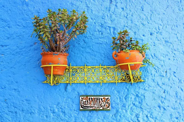 Framed Print : Decorated blue wall with potted plants in the old alleys of Medina, Chefchaouen, Morocco Framed Print : Decorated blue wall with potted plants in the old alleys of Medina, Chefchaouen, Morocco