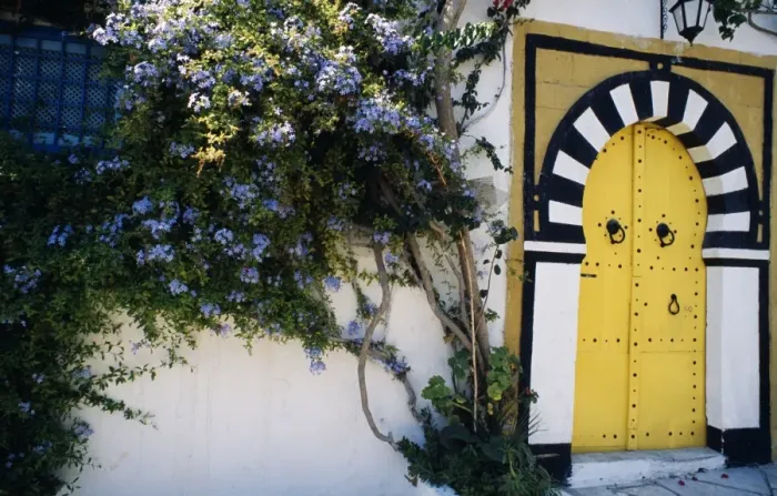Framed Print : A decorative doorway of a private house in Tunis