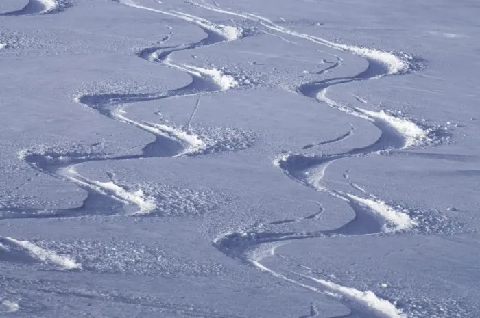 Framed Print : Deep powder snow, Ski traces, Tyrol, Austria