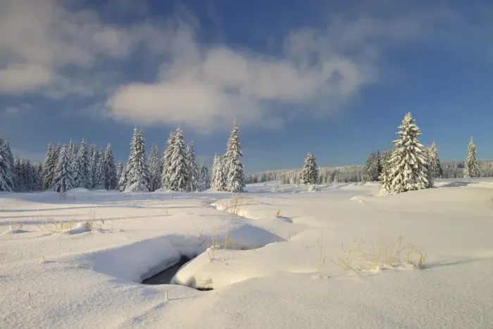 Framed Print : Deep snow-covered winter landscape at Fichtelberg at sunset, near Oberwiesenthal Framed Print : Deep snow-covered winter landscape at Fichtelberg at sunset, near Oberwiesenthal