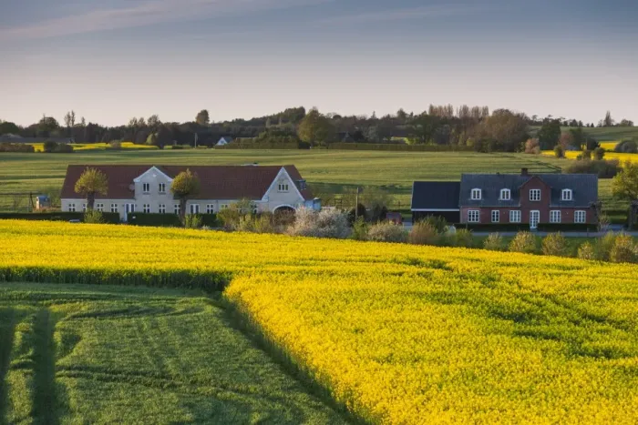 Framed Print : Denmark, Funen, Hindsholm Peninsula, Viby, elevated view of farm, springtime Framed Print : Denmark, Funen, Hindsholm Peninsula, Viby, elevated view of farm, springtime