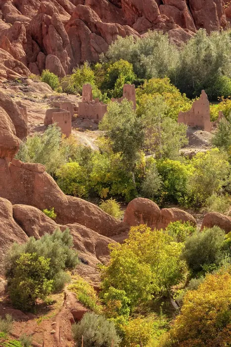 Framed Print : Derelict old kasbahs among rock formations and trees, Dades Gorge (Dades Valley), Morocco Framed Print : Derelict old kasbahs among rock formations and trees, Dades Gorge (Dades Valley), Morocco