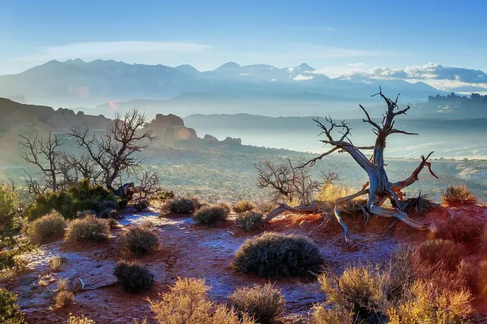 Framed Print : Desert Landscape, sunrise, Arches National Park, Utah, USA Framed Print : Desert Landscape, sunrise, Arches National Park, Utah, USA