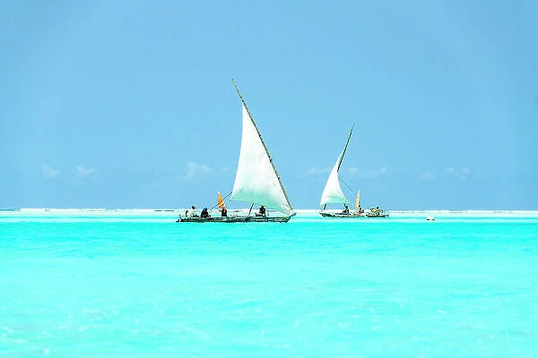 Dhow boats sailing in the crystal turquoise water of the Indian Ocean, Paje, Jambiani, Zanzibar, Tanzania