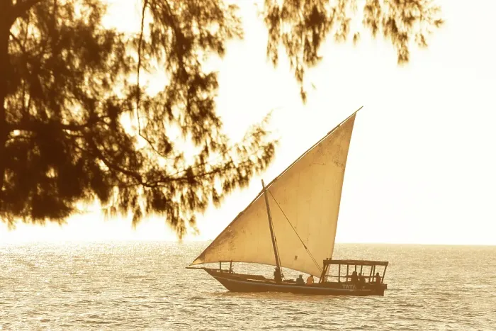 Framed Print : Dhow cruising along the coast at sunset, Nungwi, Zanzibar, Tanzania Framed Print : Dhow cruising along the coast at sunset, Nungwi, Zanzibar, Tanzania