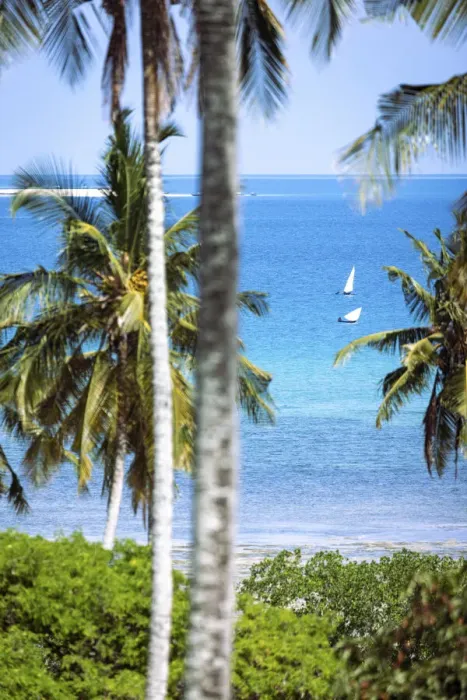 Framed Print : Dhows on the Indian Ocaen, Zanzibar, Tanzania