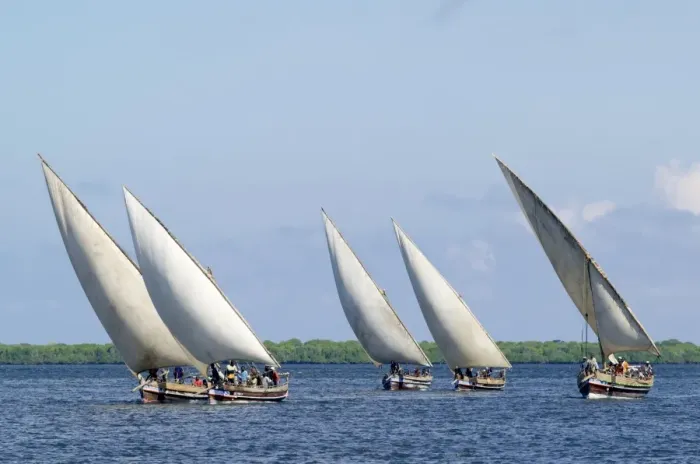 Framed Print : Dhows sailing off Lamu Island Framed Print : Dhows sailing off Lamu Island