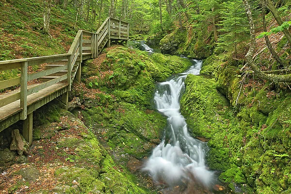 Dickson Falls and boardwalk Fundy National Park, New Brunswick, Canada