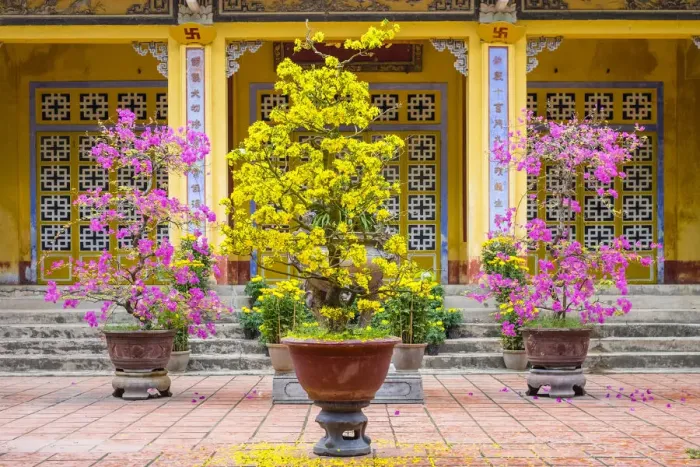 Framed Print : Dieu De Pagoda (Chua Diệu Đế) Buddhist temple in Huế, Thừa Thien-Huế Province, Vietnam Framed Print : Dieu De Pagoda (Chua Diệu Đế) Buddhist temple in Huế, Thừa Thien-Huế Province, Vietnam