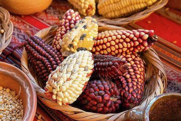 Different types of corn, Chinchero, Sacred Valley, Urubamba Province, Cusco Region, Peru
