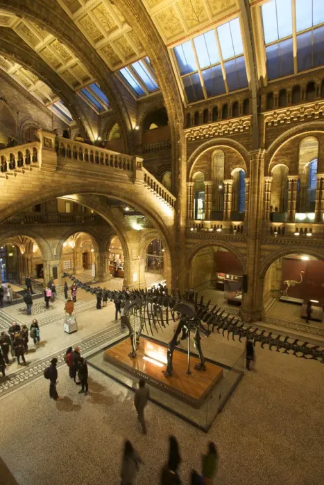 Framed Print : Dinosaur at the Natural History Museum, London, England Framed Print : Dinosaur at the Natural History Museum, London, England