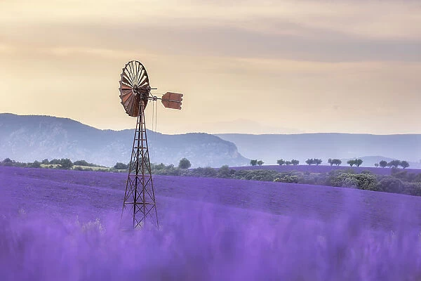 Dissused wind pump amongst lavender fields, Valensole Plateau, Provence, France