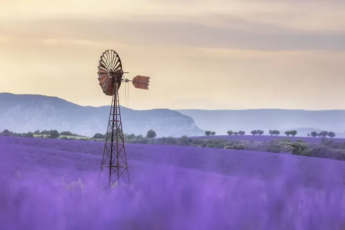 Framed Print : Dissused wind pump amongst lavender fields, Valensole Plateau, Provence, France Framed Print : Dissused wind pump amongst lavender fields, Valensole Plateau, Provence, France