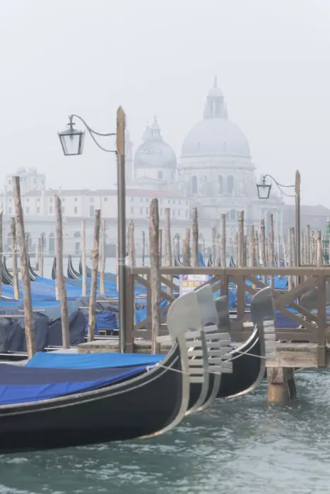 Framed Print : Docked gondolas along the Riva degli Schiavoni, near Piazza San Marco Framed Print : Docked gondolas along the Riva degli Schiavoni, near Piazza San Marco