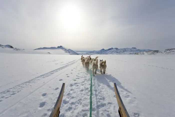 Framed Print : Dog sledding, E. Greenland Framed Print : Dog sledding, E. Greenland