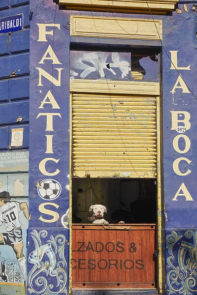 A dog standing at a corner of La Boca district beside a mural painting of Diego Armando