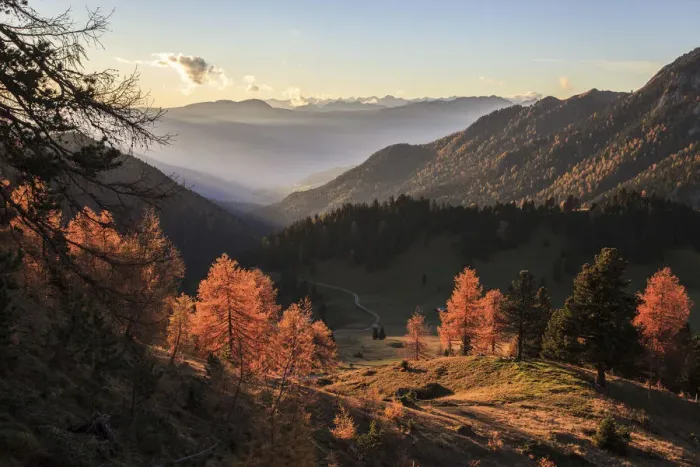 Framed Print : Dolomites, the last light in Funes valley, on the natural park Puez Odle, Italy Framed Print : Dolomites, the last light in Funes valley, on the natural park Puez Odle, Italy