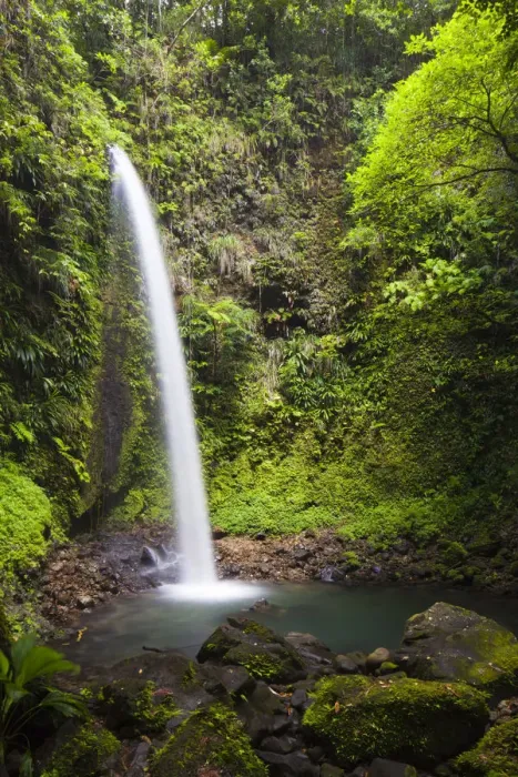Framed Print : Dominica, Penrice. The second of the twin Spanny Falls, known as Spanny Falls Number Two Framed Print : Dominica, Penrice. The second of the twin Spanny Falls, known as Spanny Falls Number Two