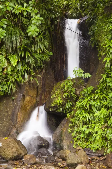 Framed Print : Dominica, Roseau. Waterfall at Papillote Wilderness Retreat Framed Print : Dominica, Roseau. Waterfall at Papillote Wilderness Retreat