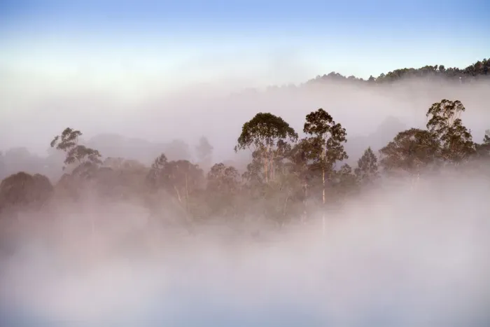 Framed Print : Dominican Republic, Jarabacoa, Misty dawn morning in the mountains of Jarabacoa Framed Print : Dominican Republic, Jarabacoa, Misty dawn morning in the mountains of Jarabacoa