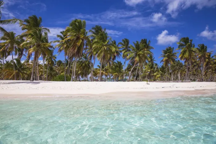 Framed Print : Dominican Republic, Punta Cana, Parque Nacional del Este, Saona Island, Canto de la Playa Framed Print : Dominican Republic, Punta Cana, Parque Nacional del Este, Saona Island, Canto de la Playa