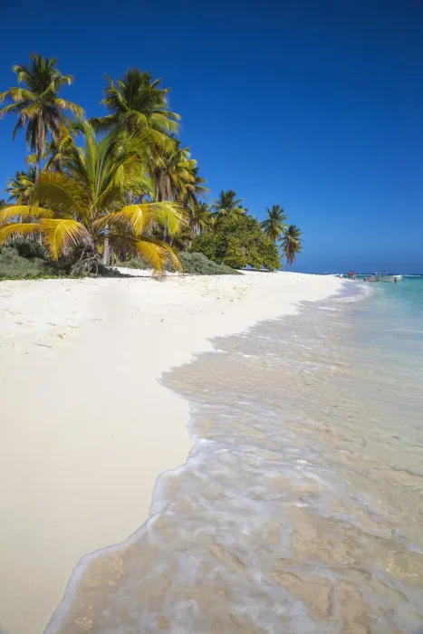 Framed Print : Dominican Republic, Punta Cana, Parque Nacional del Este, Saona Island, Canto de la Playa Framed Print : Dominican Republic, Punta Cana, Parque Nacional del Este, Saona Island, Canto de la Playa