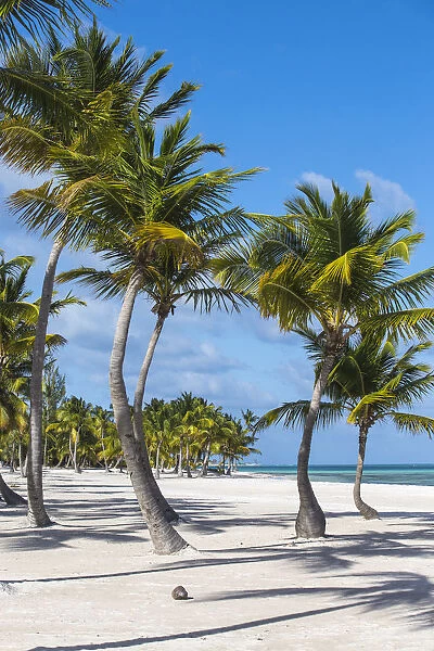 Dominican Republic, Punta Cana, Cap Cana, Juanillo Beach