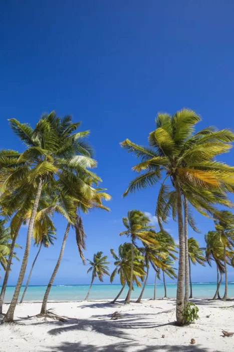 Framed Print : Dominican Republic, Punta Cana, Cap Cana beach Framed Print : Dominican Republic, Punta Cana, Cap Cana beach