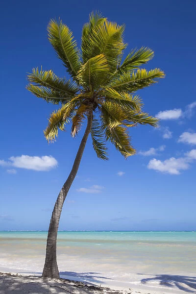 Dominican Republic, Punta Cana, Cap Cana beach