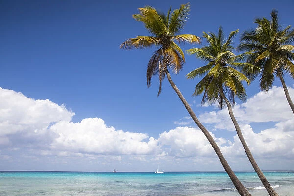 Dominican Republic, Punta Cana, Parque Nacional del Este, Saona Island, Catuano Beach