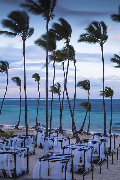 Dominican Republic, Punta Cana, Playa Cabeza de Toro, Sun loungers at Dreams Palm