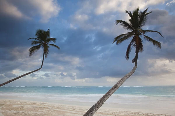 Dominican Republic, Punta Cana Region, Bavaro, Bavaro beach palms