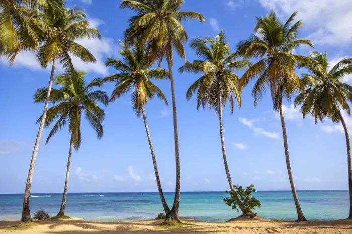Framed Print : Dominican Republic, Samana Peninsula, Beach at Las Terrenas Framed Print : Dominican Republic, Samana Peninsula, Beach at Las Terrenas