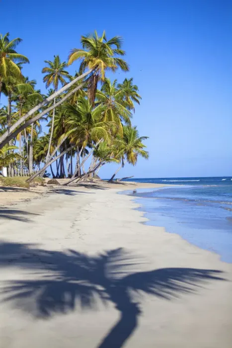 Framed Print : Dominican Republic, Samana Peninsula, Las Terrenas, Playa Bonita