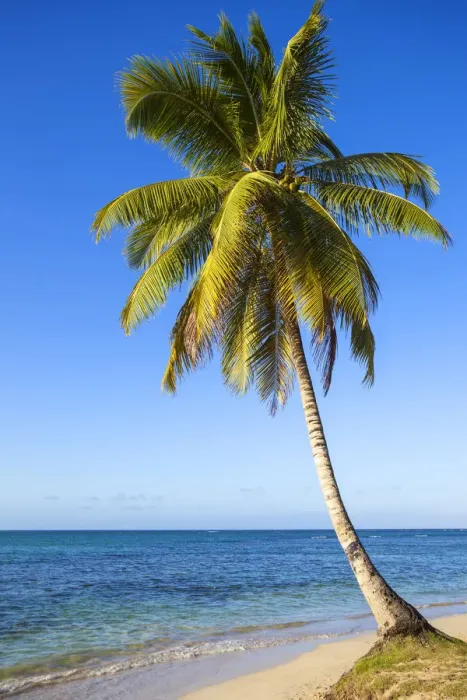 Framed Print : Dominican Republic, Samana Peninsula, Beach at Las Terrenas Framed Print : Dominican Republic, Samana Peninsula, Beach at Las Terrenas