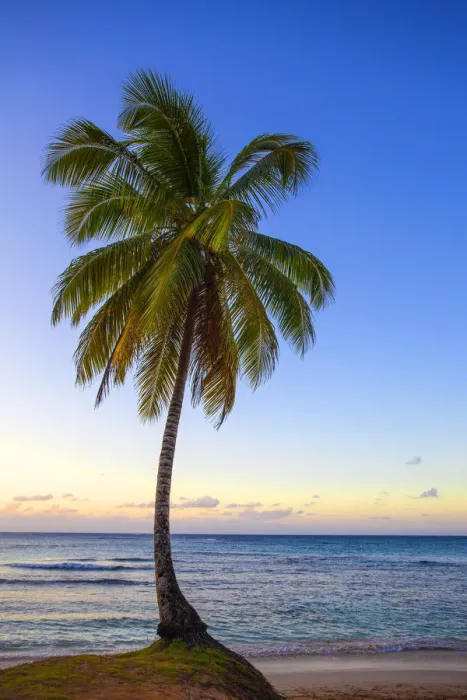 Framed Print : Dominican Republic, Samana Peninsula, Beach at Las Terrenas Framed Print : Dominican Republic, Samana Peninsula, Beach at Las Terrenas