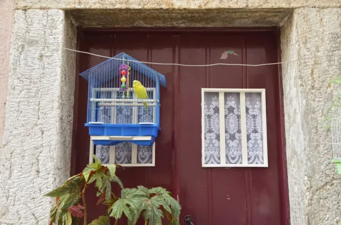 Framed Print : Door with bird in the Castelo district. Lisbon, Portugal
