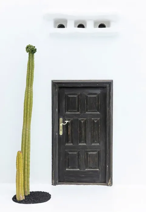 Framed Print : Door and cactus against whitewashed wall, César Manrique Foundation, Tahiche, Lanzarote, Canary Islands, Spain Framed Print : Door and cactus against whitewashed wall, César Manrique Foundation, Tahiche, Lanzarote, Canary Islands, Spain