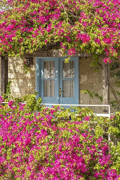 Door framed by colourful flowers in Tochni, Limassol, District, Cyprus