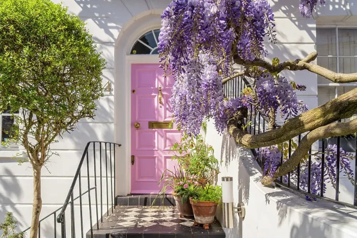 Framed Print : Door and wisteria, Kensington, London, England, UK