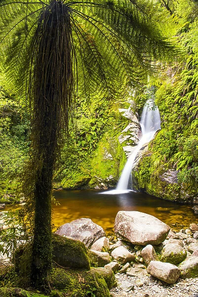 Dorothy Falls, near Hokitika, New Zealand