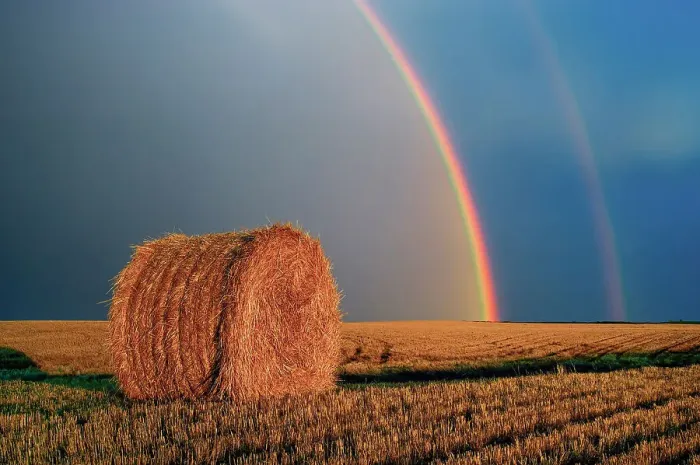 Framed Print : Double rainbow and bale after prairie storm Near Cypress River, Manitoba, Canada Framed Print : Double rainbow and bale after prairie storm Near Cypress River, Manitoba, Canada