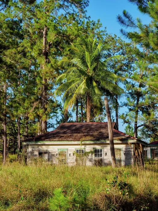 Framed Print : Douglas Da Silva Village, Mountain Pine Ridge Forest Reserve, Cayo District, Belize