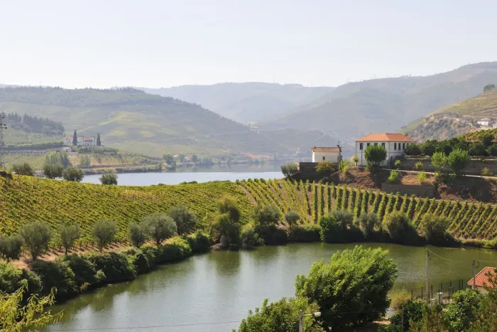 Framed Print : The Douro river and the terraced vineyards of the Port wine in Covelinhas Framed Print : The Douro river and the terraced vineyards of the Port wine in Covelinhas