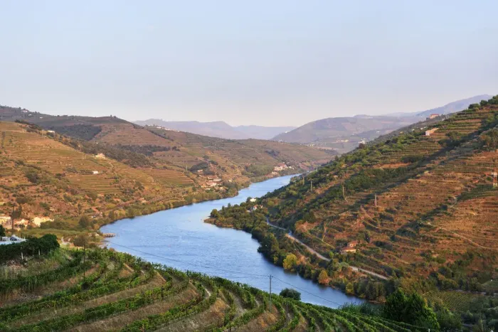 Framed Print : The Douro river and the terraced vineyards of the Port wine near Mesao Frio Framed Print : The Douro river and the terraced vineyards of the Port wine near Mesao Frio