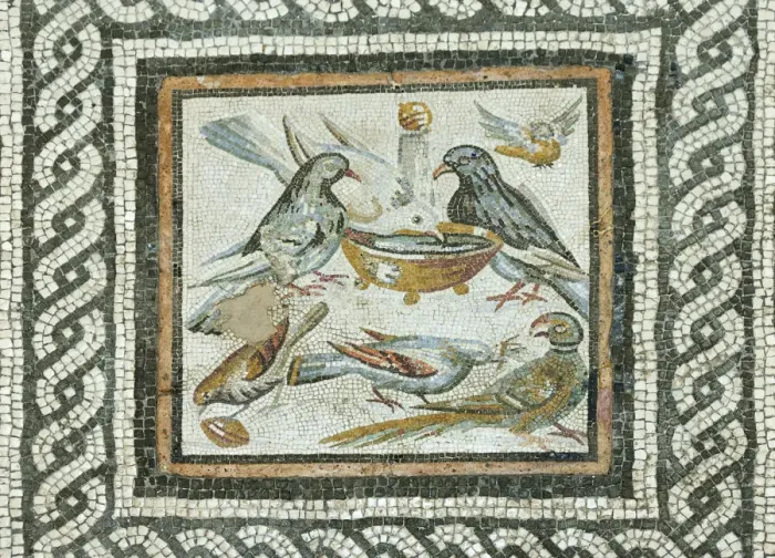 Framed Print : Doves from the Domus under the Caseggiato of the Taberne Finestrate, 1st century B Framed Print : Doves from the Domus under the Caseggiato of the Taberne Finestrate, 1st century B