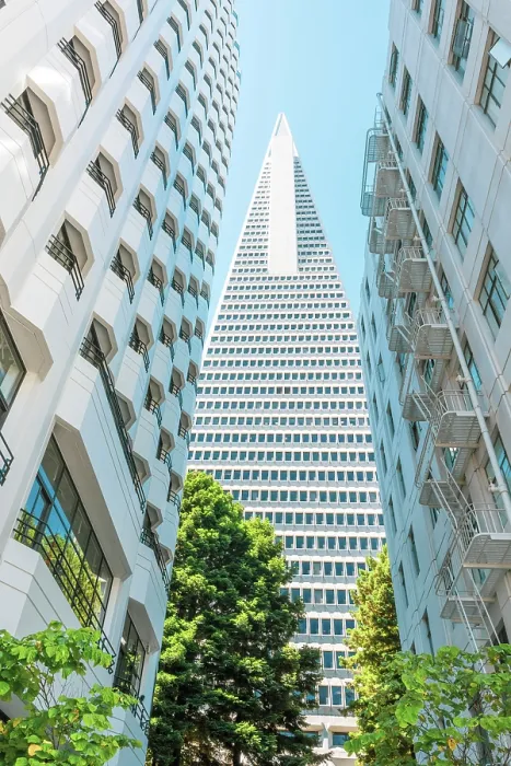Framed Print : Downtown, San Francisco, Transamerica Pyramid, San Francisco, California, USA Framed Print : Downtown, San Francisco, Transamerica Pyramid, San Francisco, California, USA