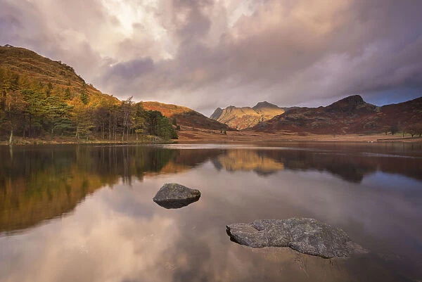 Dramatic sunrise light over Blea Tarn and the Langdale Pikes, Lake District, Cumbria